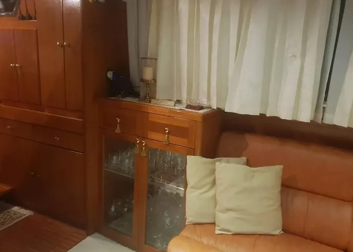 Motor Boat Paloma Rea تروغير