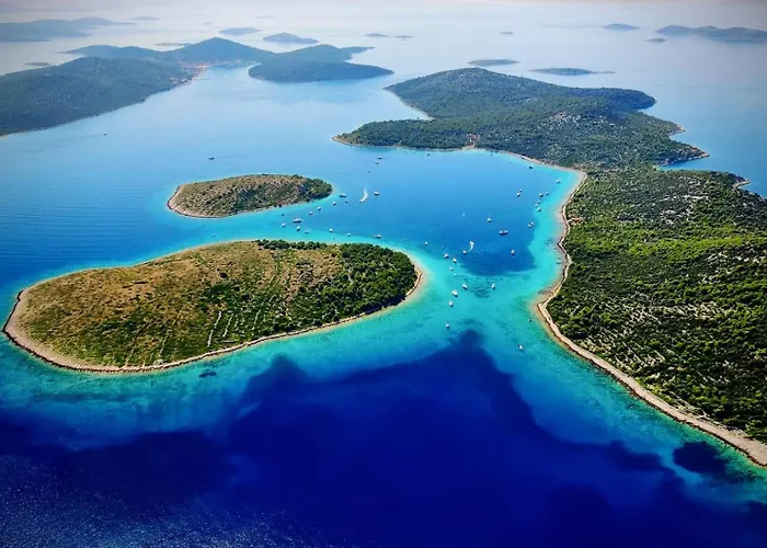 Motor Boat Paloma Rea بوتيل