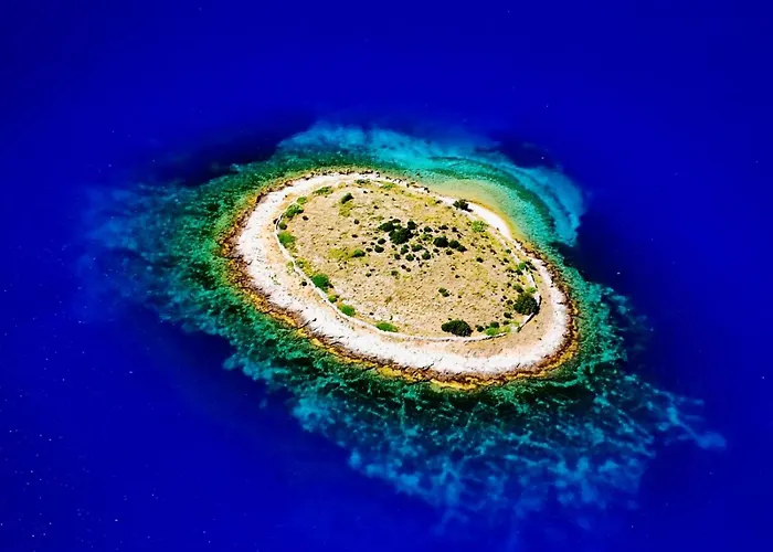 Motor Boat Paloma Rea