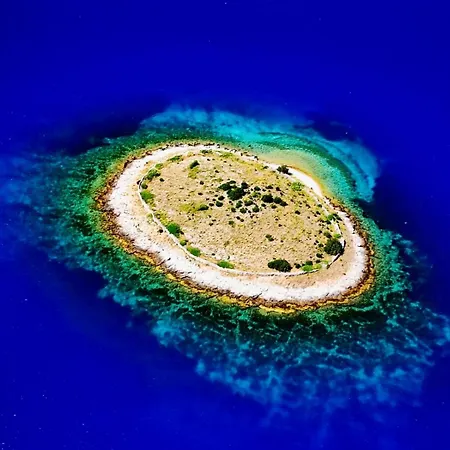 Motor Boat Paloma Rea