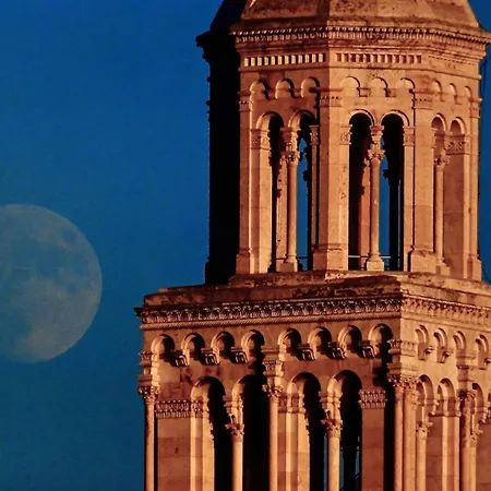 船屋 Motor Boat Paloma Rea