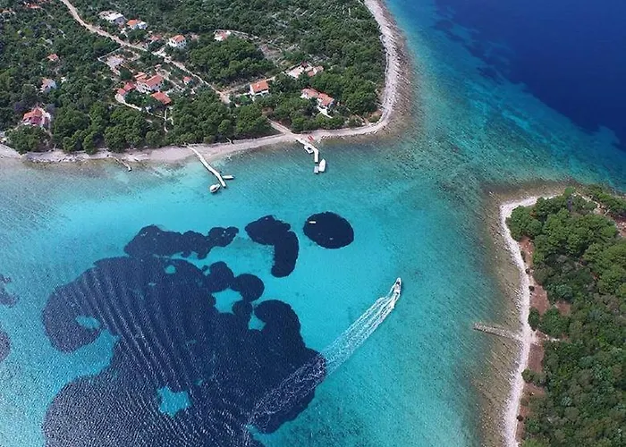 船屋 Motor Boat Paloma Rea *