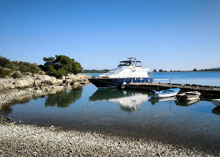 Motor Boat Paloma Rea *