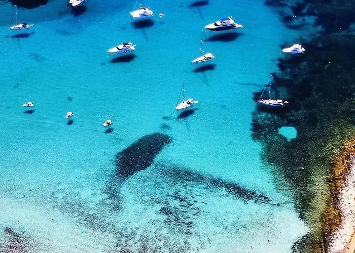 Motor Boat Paloma Rea 船屋